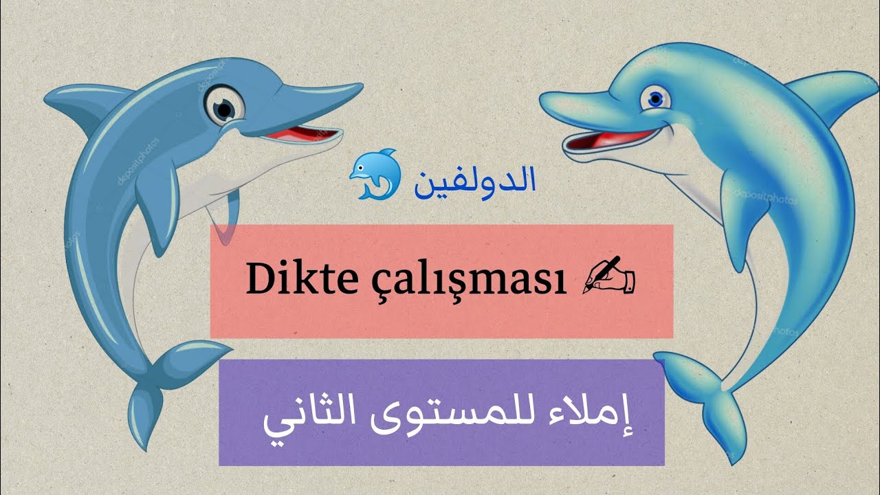 إملاء باللغة التركية 🇹🇷| تمرين كتابة واستماع| dikte çalışması