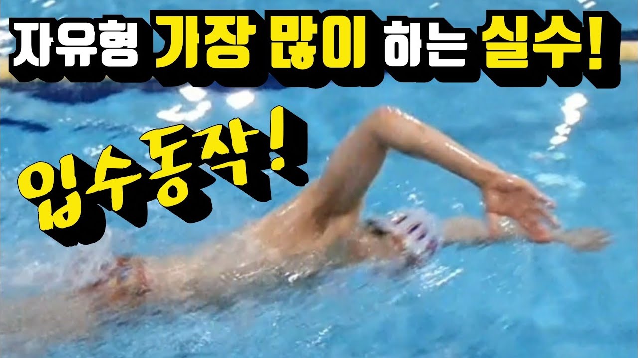 자유형 팔꺽기/팔꺾기 연습을 해도해도 안 느는 이유!!