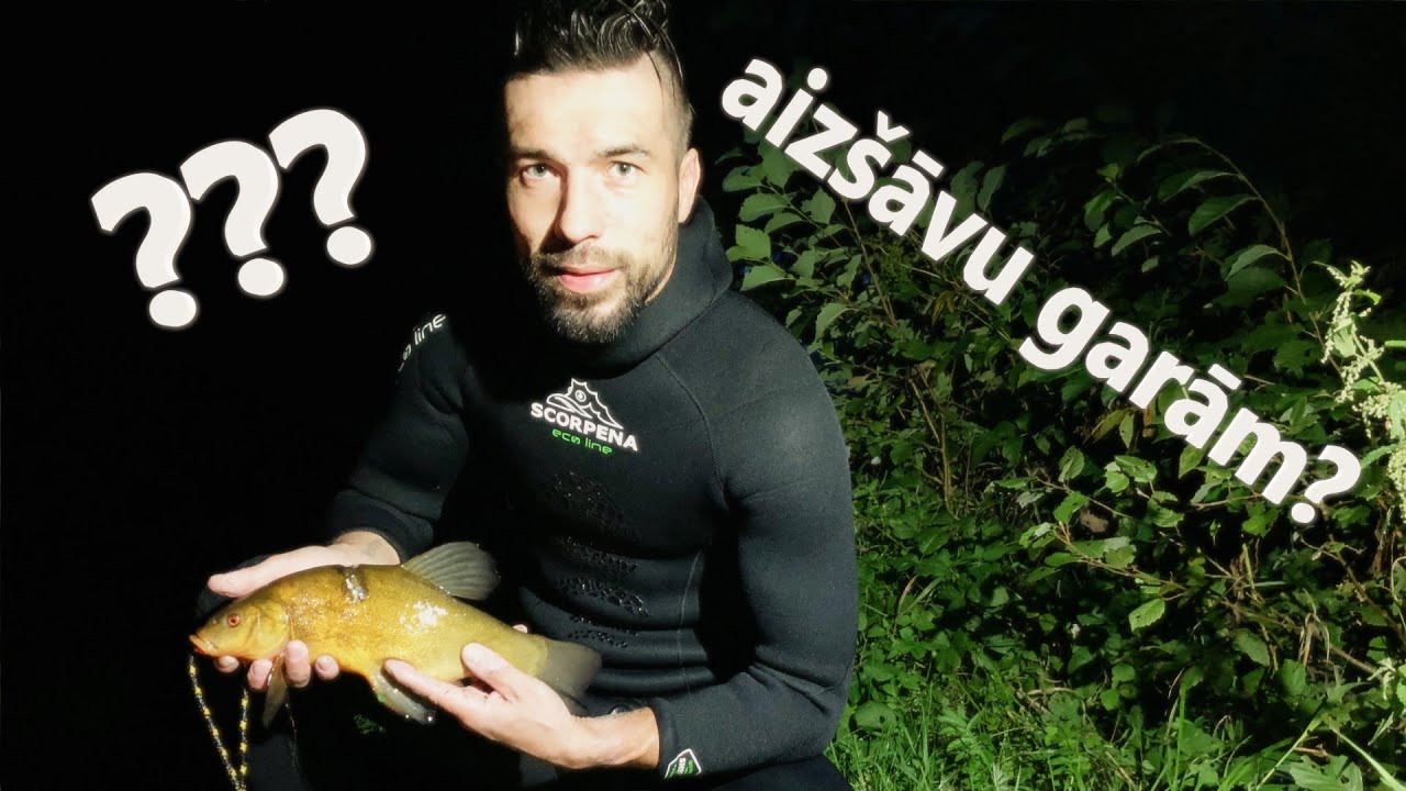 ZEMŪDENS MEDĪBAS. LĪNIS UN LĪDAKAS.