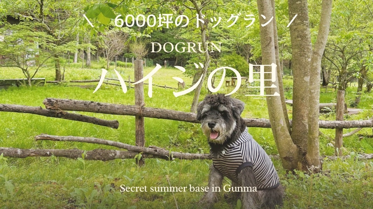 【夏のお出かけ】6000坪の大自然で愛犬も飼い主も大はしゃぎ!!ハイジの里2023年夏