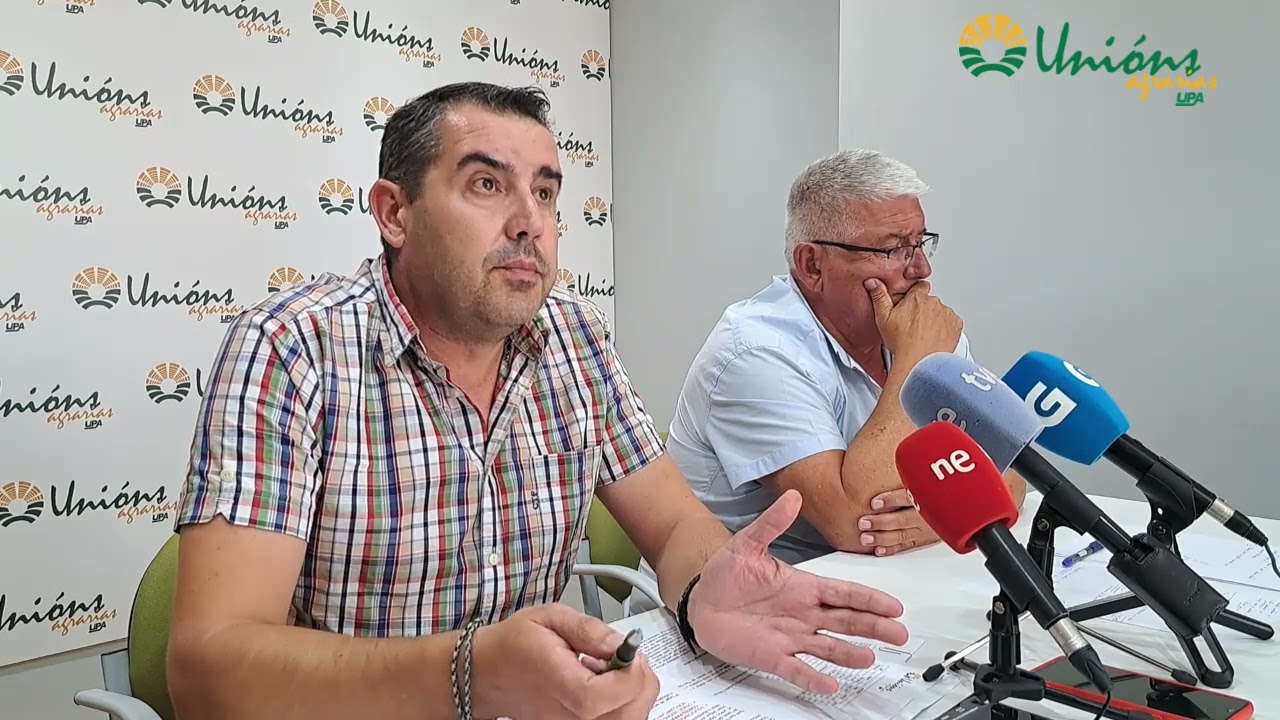 Rolda viño 16.07.2025