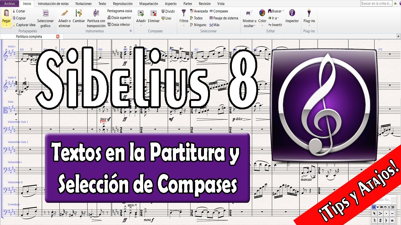 TUTORIAL DE TEXTOS | MATICES | TECNICAS EN SIBELIUS 8🎶