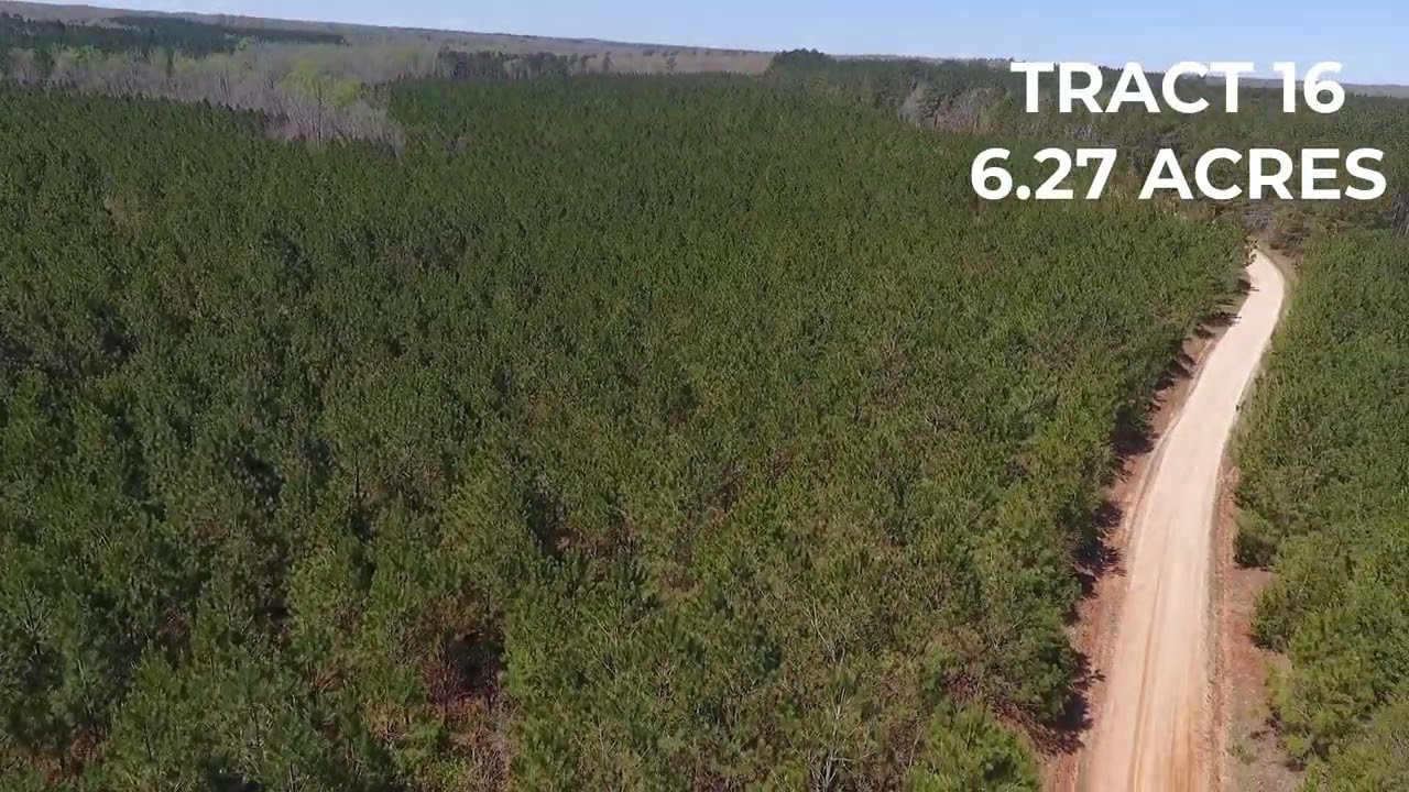 TRACT 16 KING RD MEDON, TN – 6.27 ACRES OWNER FINANCE WITH $1000 DOWN – LAND FOR SALE