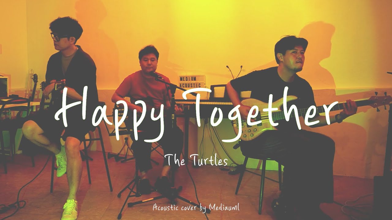 Happy together - The Turtles (Acoustic cover by Medium)