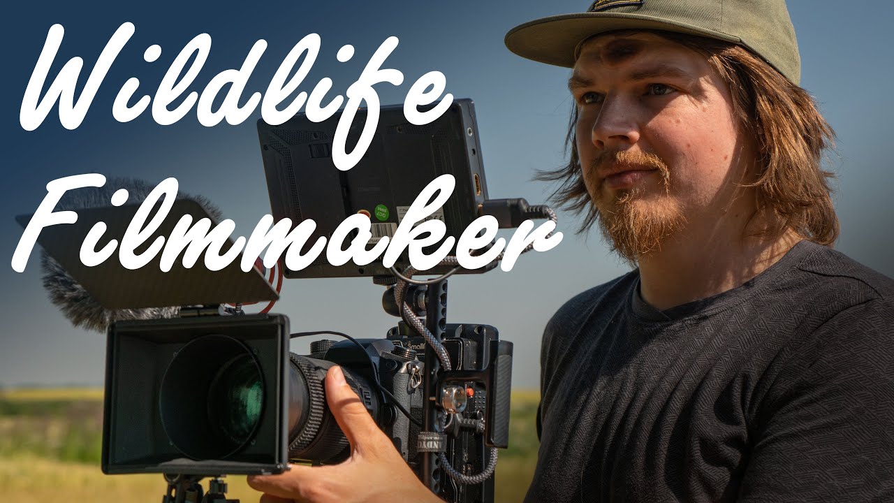 From Hobby to Career: How to become a Pro Wildlife Filmmaker? Paths and tips for your Journey