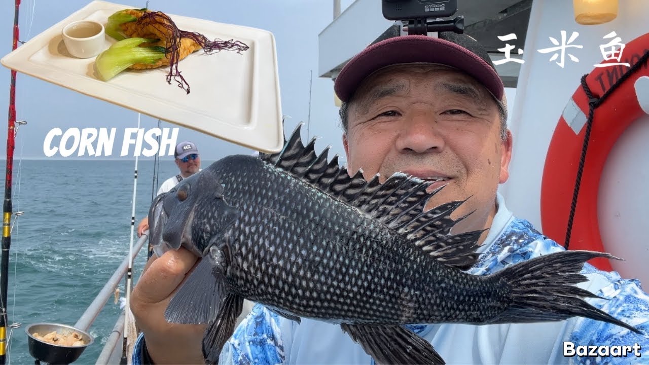 Sea bass catch clean and cook | corn fish | 玉米鱼