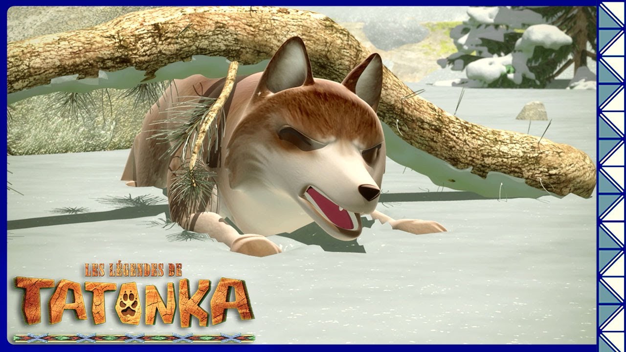 Les loups sont pris au pi&egrave;ge | Tatonka | Dessins anim&eacute;s d'animaux