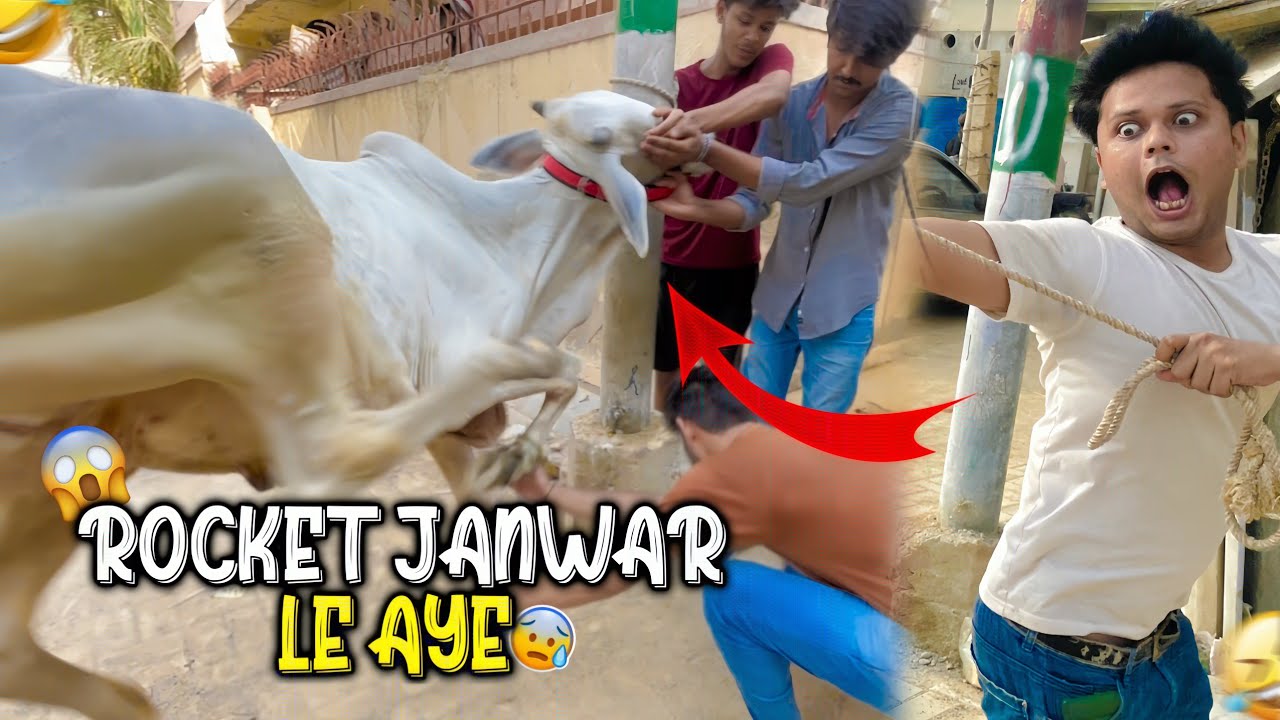 Cow ka naam shararti bacha 109 rakh dya 😂😅 || Saad iqbal