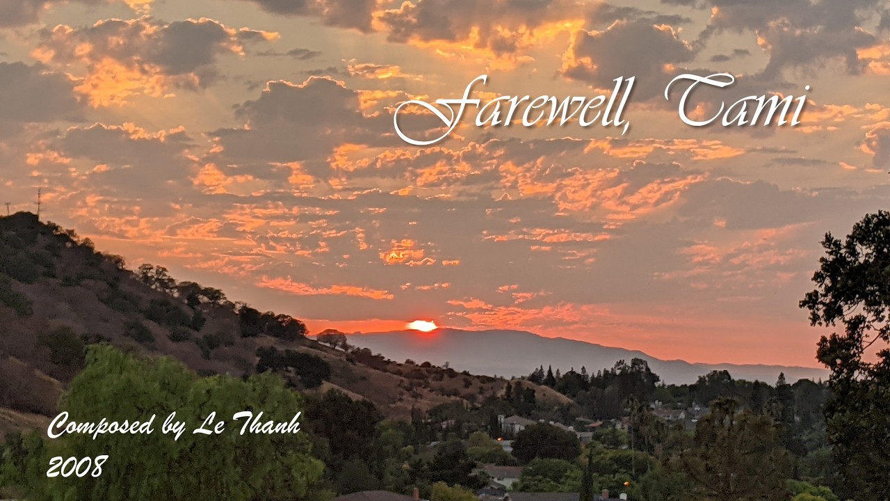 Farewell, Tami - Le Thanh 2007