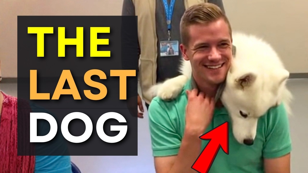 We Let Dogs Pick Their Families on Adoption Day And THIS Happened 😢