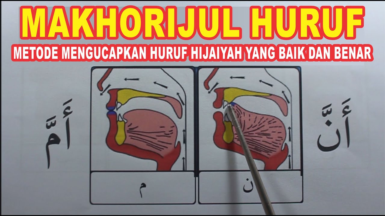 MAKHORIJUL HURUF CARA PENGUCAPAN HURUF HIJAIYAH LENGKAP DENGAN GAMBAR