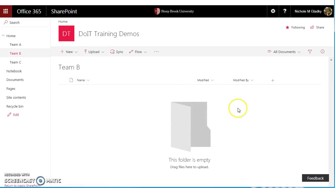 SharePoint Online Document Library Permissions
