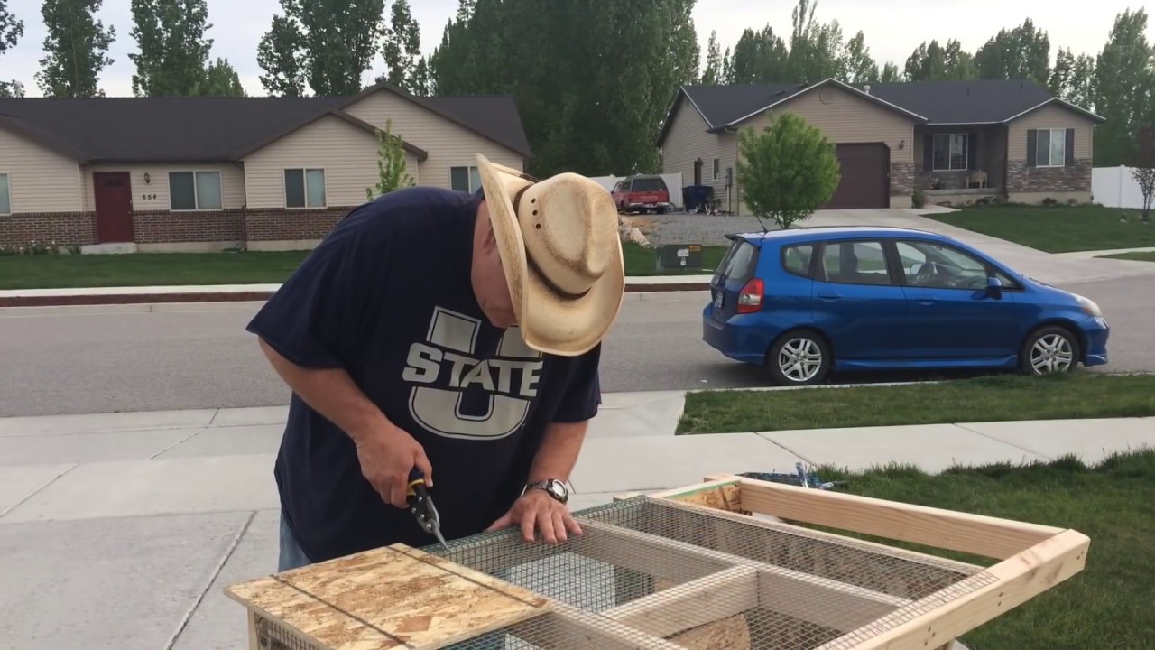 Building a rabbit hutch for less than $50.00