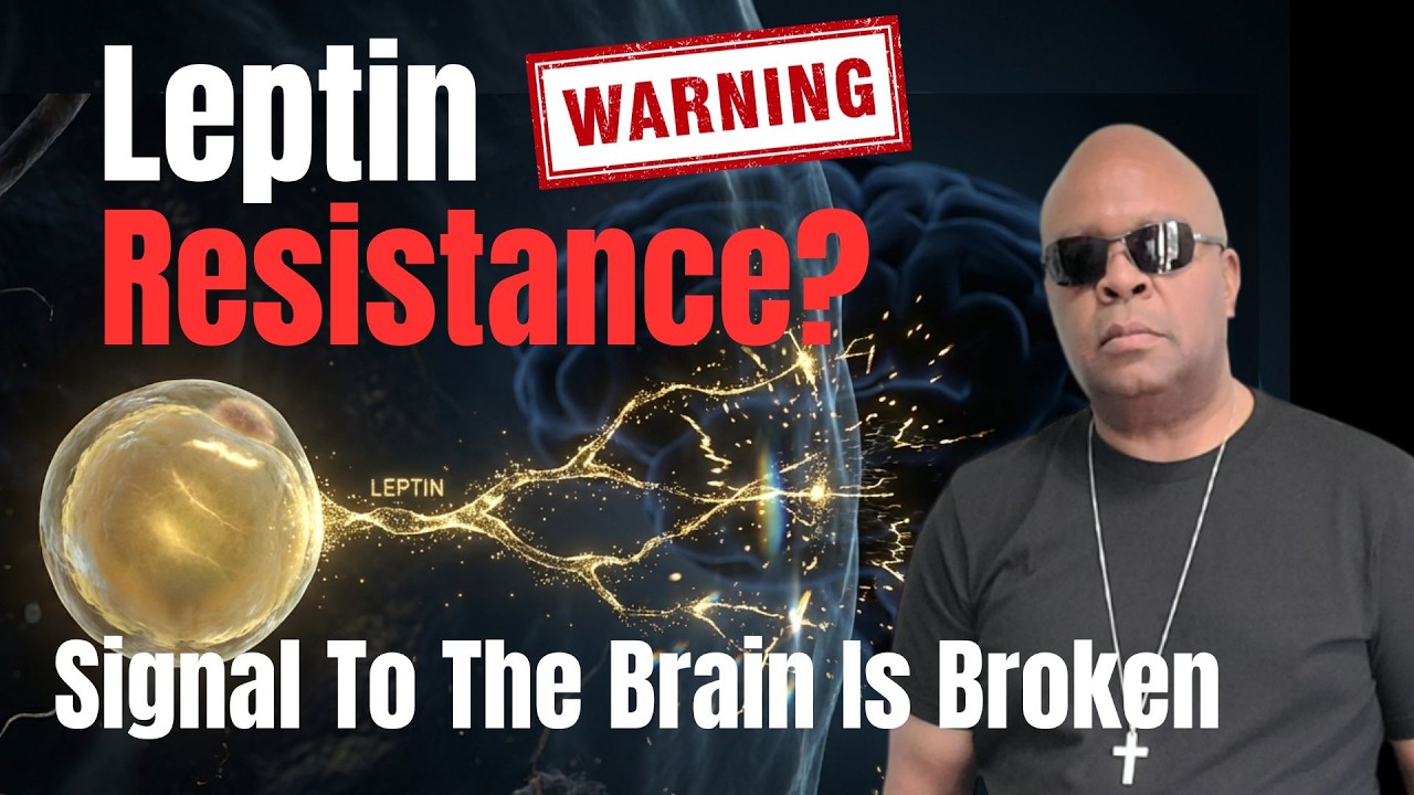 How Leptin Works: Why Your Brain Thinks You're Always Starving