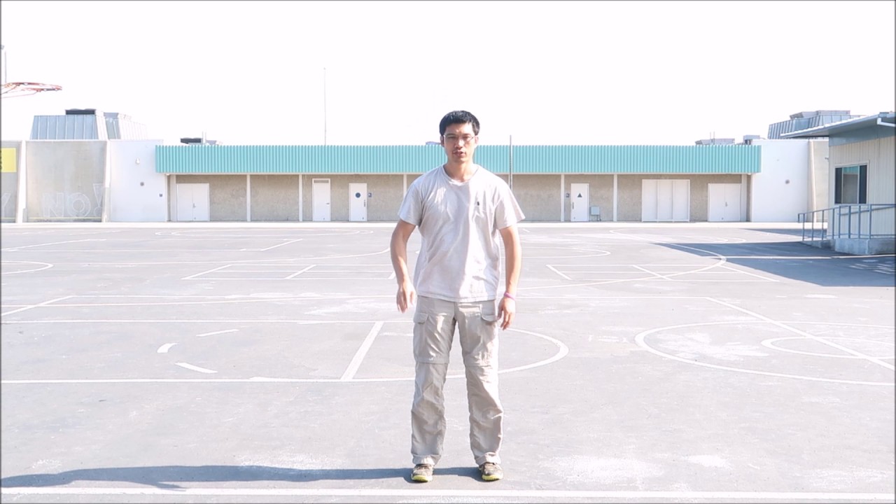 Cheng man ching tai chi -chi developement (鄭曼青太極37式-站樁)