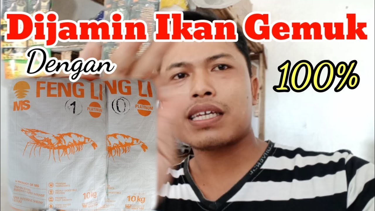 Pelet Udang & Ikan Murah Tapi Tidak Murahan #pelet #pakan #enak