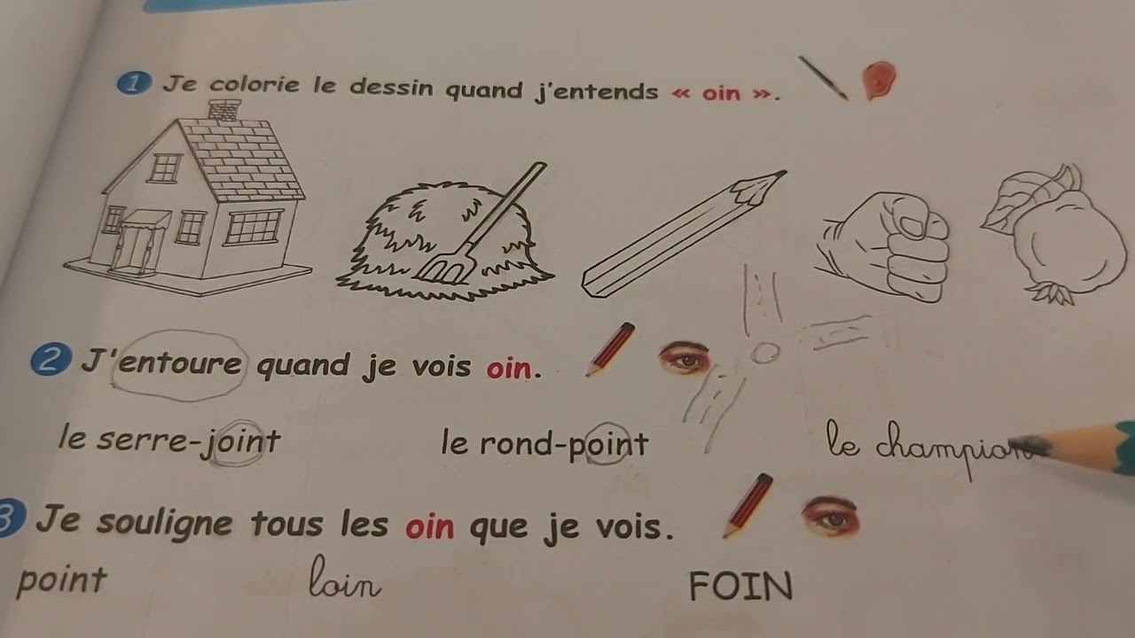 كراس الأنشطة ص 33 فرنسية 3 ابتدائي  /Cahier d'activités Français 3AP page 33