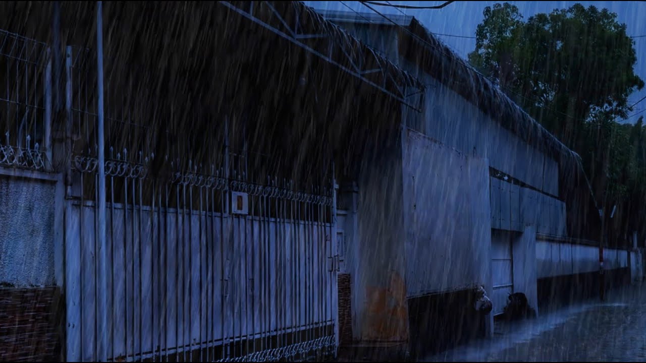 Relaxing Rain and Thunderstorm Sounds on Metal Roof for Insomnia and Anxiety Relief | 12 Hours