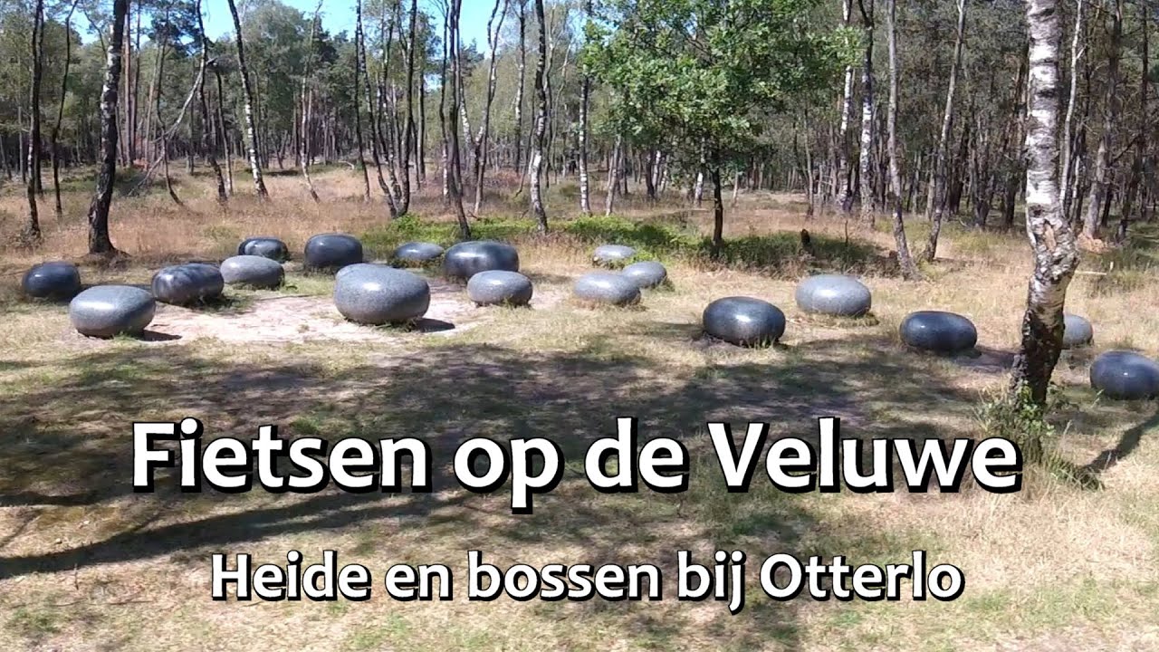 Fietsen op de Veluwe (1) Op de heide en in de bossen bij Otterlo - juli 2023