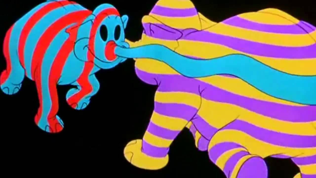 Dumbo do you see what I see