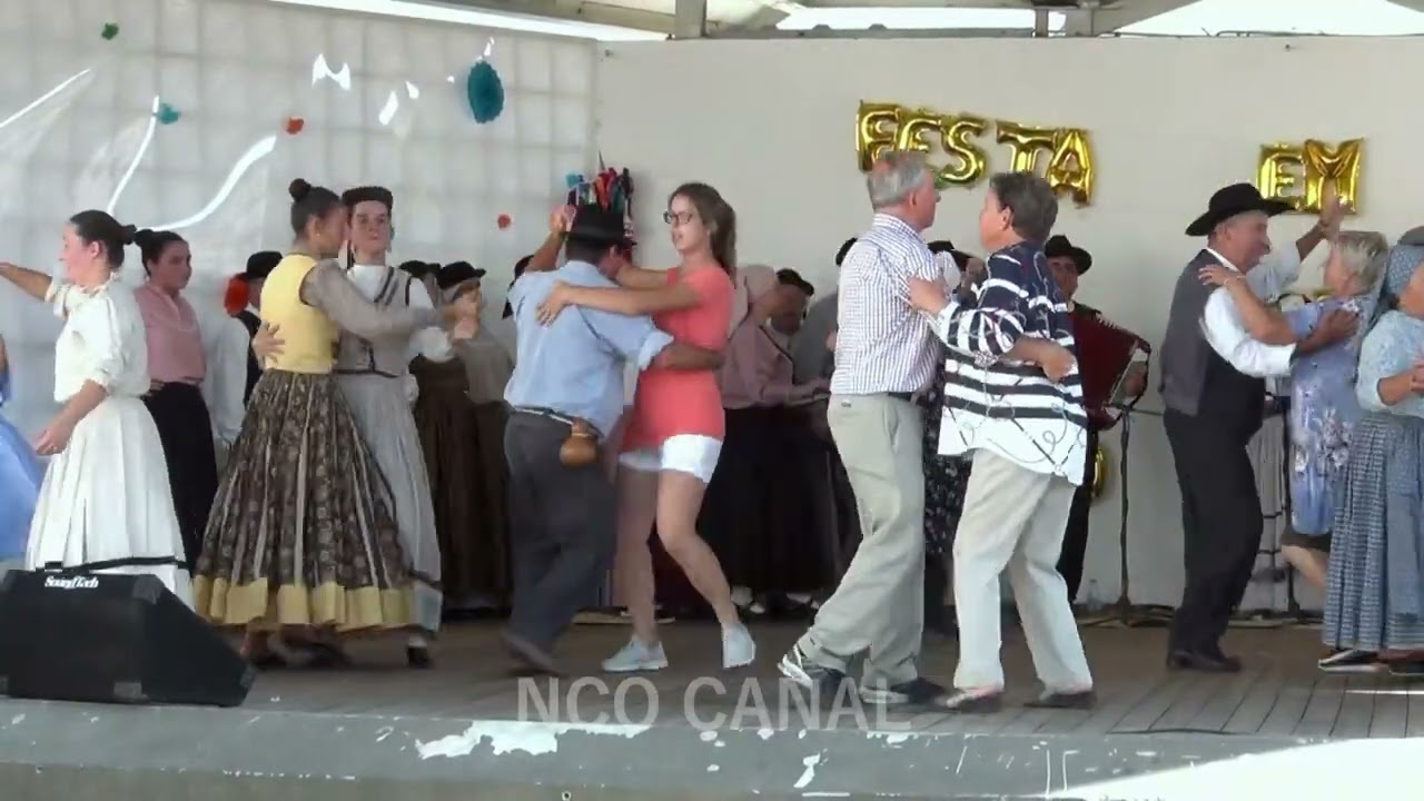 Rancho Regional da Vila de Lobão (pinta o vago)
