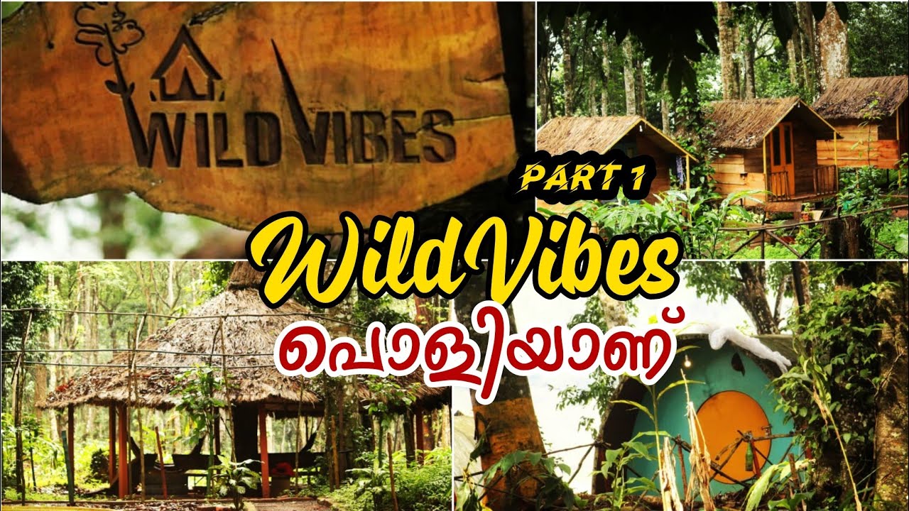 Wild Vibes Wayanad | Part 1 | Malayalam | Techie Traveller by Rafeeque #wayanad #wildvibes #hutstay