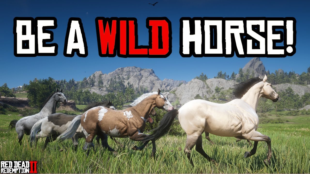 (EASY) HOW TO BECOME A WILD HORSE + HERD - Red Dead Redemption 2 Tutorial| Pinehaven