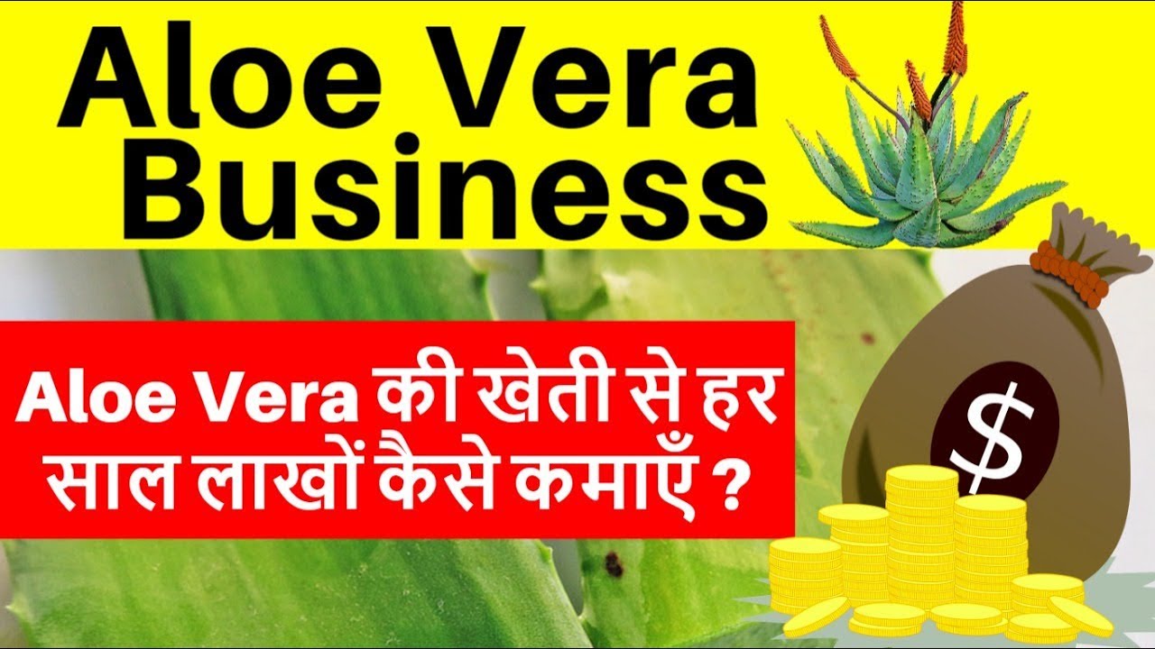 Aloe vera Farming business in India