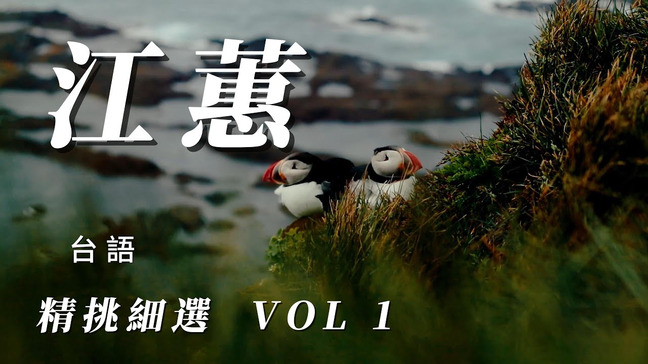（江蕙）（精挑細選  ）VOL 1。🦄🦄🦄🦄