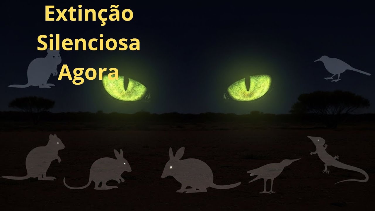 Quando Gatos Causam Extinções