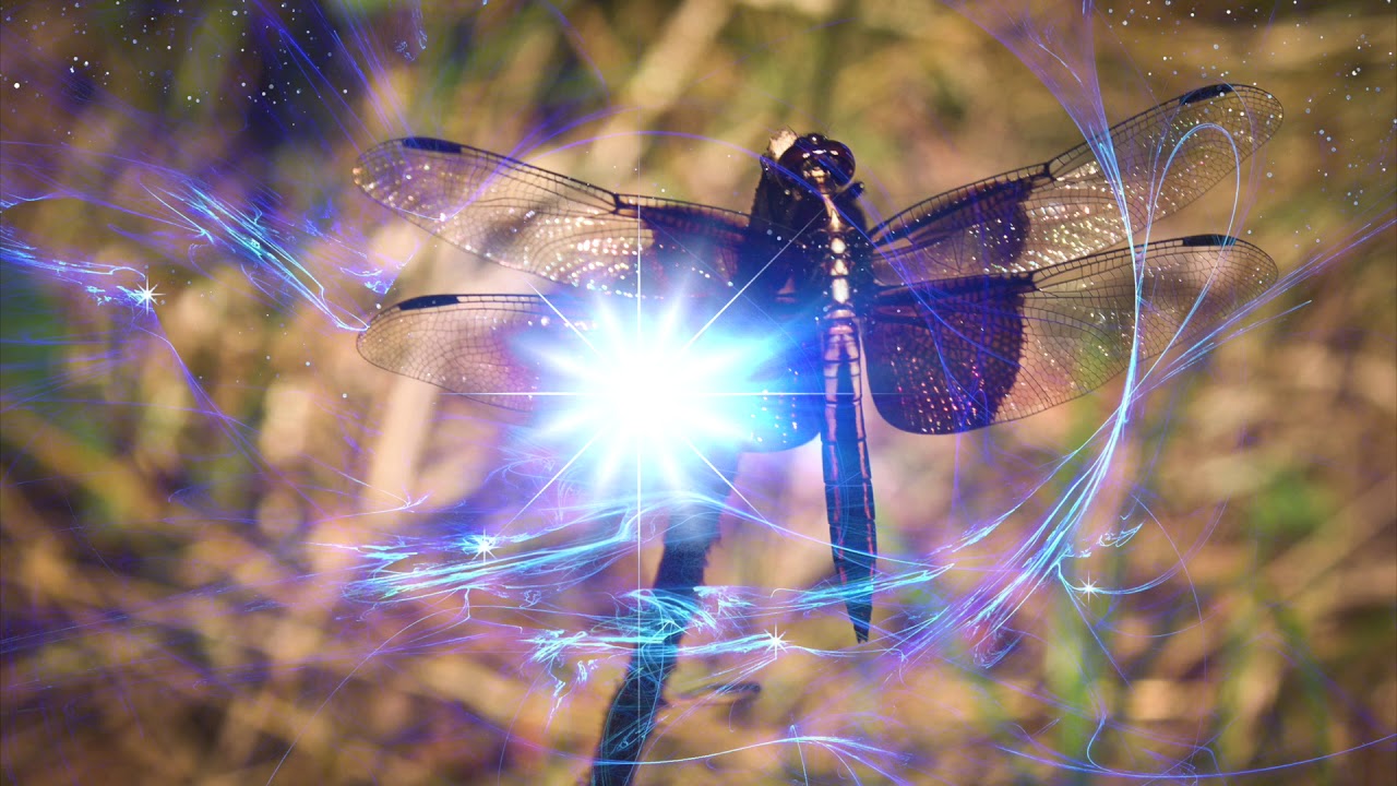 Rhythmic Entrainment for Past Life Regression, Energy Medicine Sessions & Sound Healing