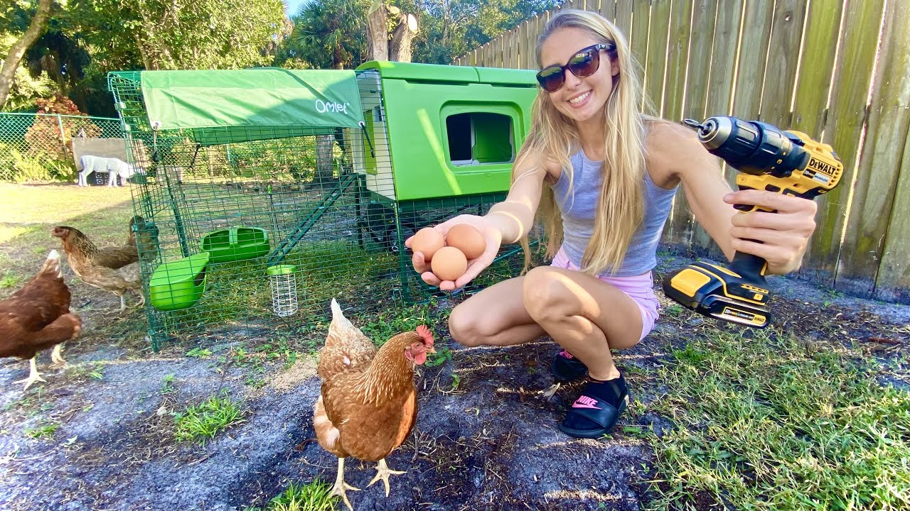 Building my PET CHICKENS the home of their DREAMS (Omlet Coop)