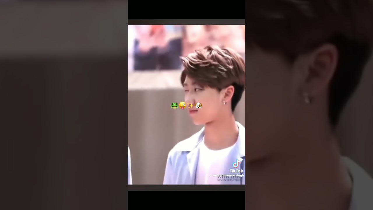Gyuhao TikTok Collection pt-8