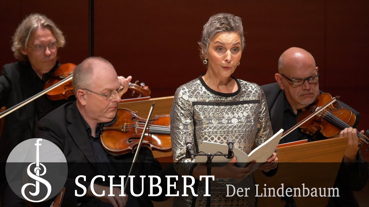 Schubert | Der Lindenbaum