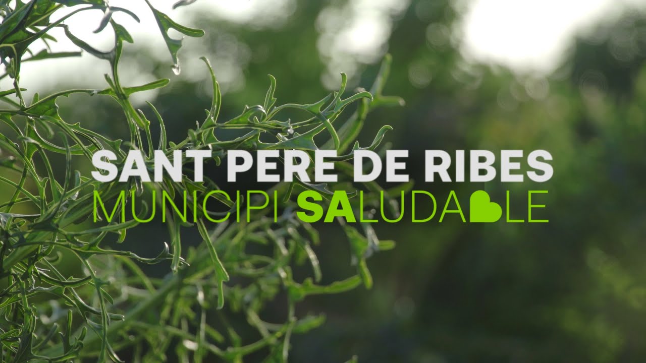 Els espigalls del Garraf van a l'escola | Sant Pere de Ribes, Municipi Saludable