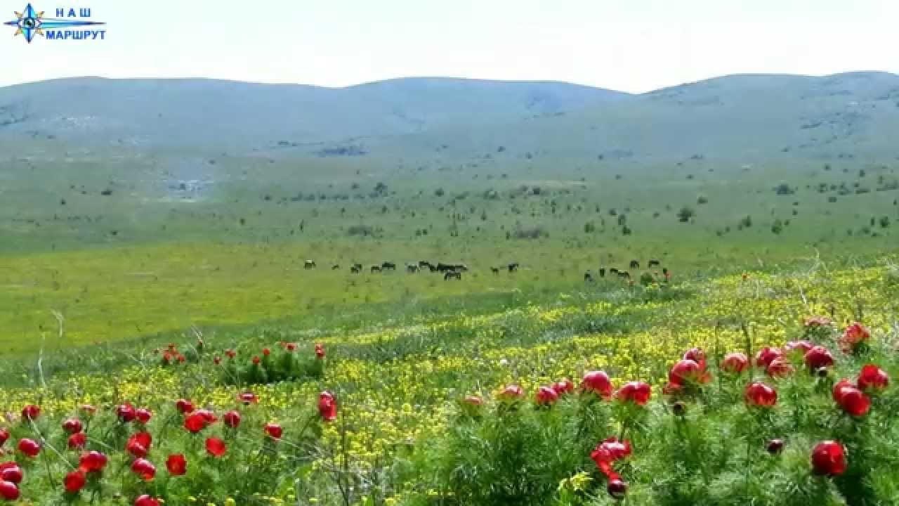 Май на Караби