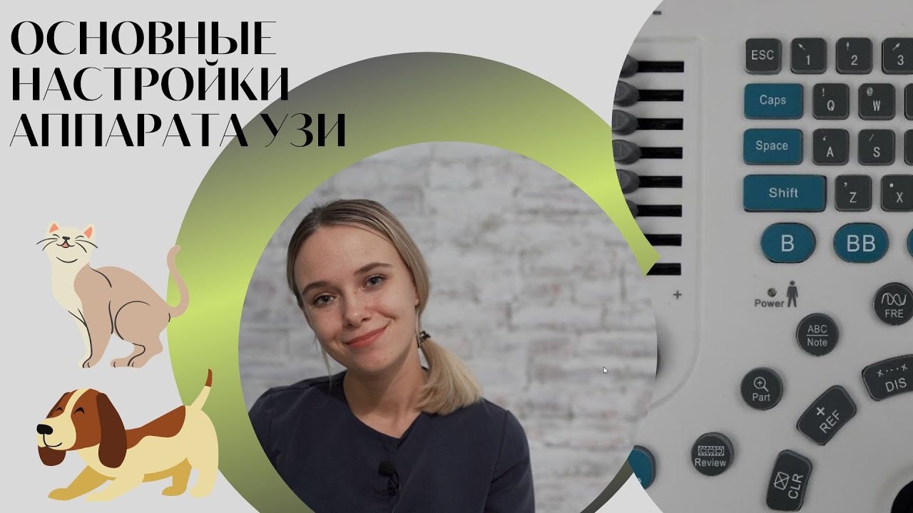 Основные настройки аппарата УЗИ