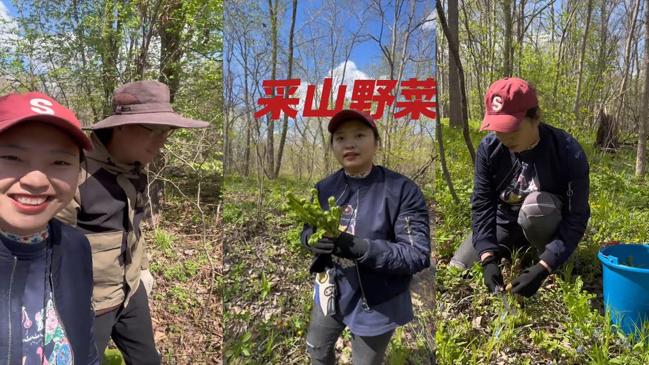 东北小伙带着南方妹去老林子跑山，直接解锁野菜自由！ #新农人计划2025 #乡村守护人 #挖野菜 #梦儿在北大荒