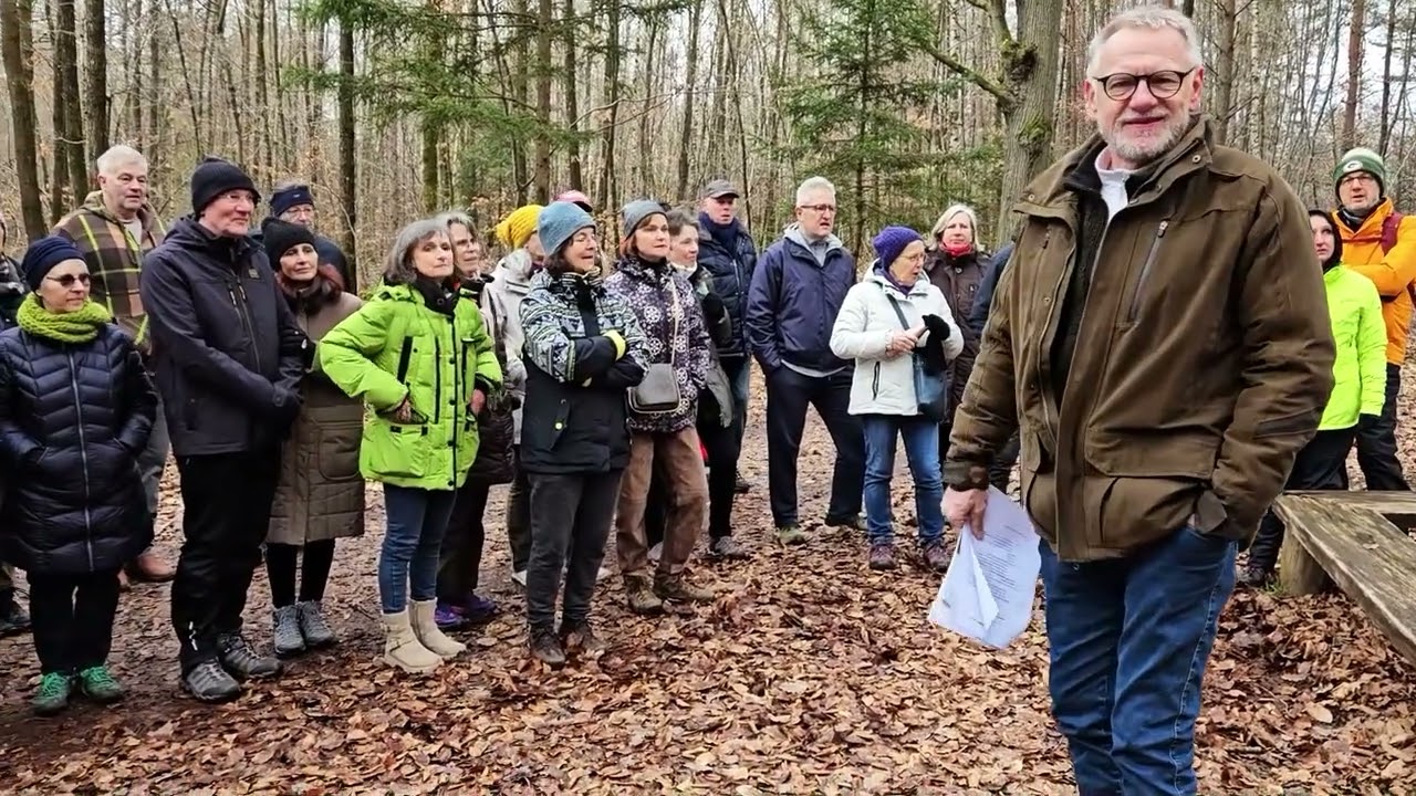Wald im Wandel