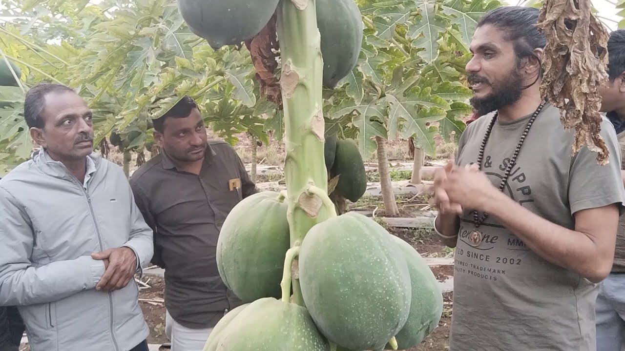 किसान पाठशाला FARMER SCHOOL
