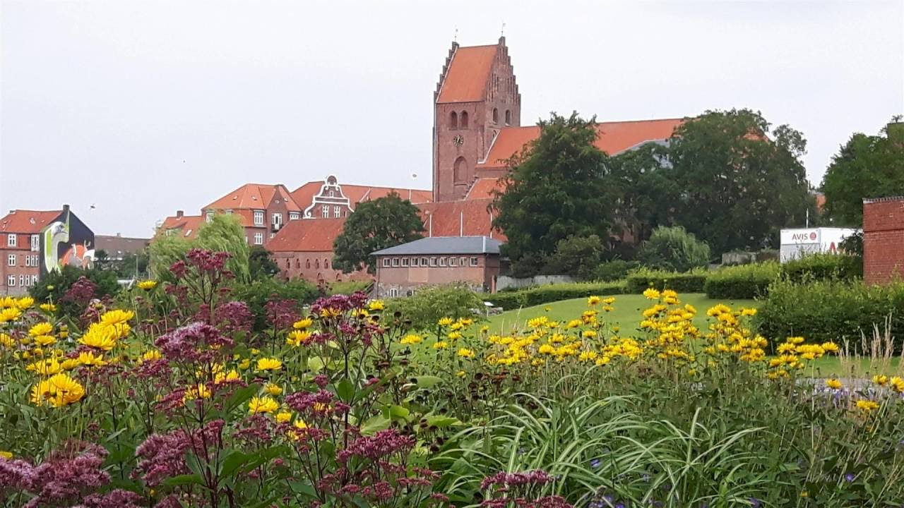 Video 01 13. august 2016 N&aelig;stved &ndash; Blomsterne ved Havnegade & Slagkildevej
