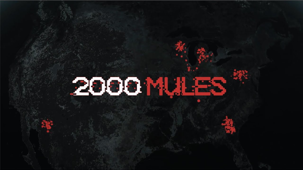 2000 Mules: Film dokumentalny Dinesha D'Souzy