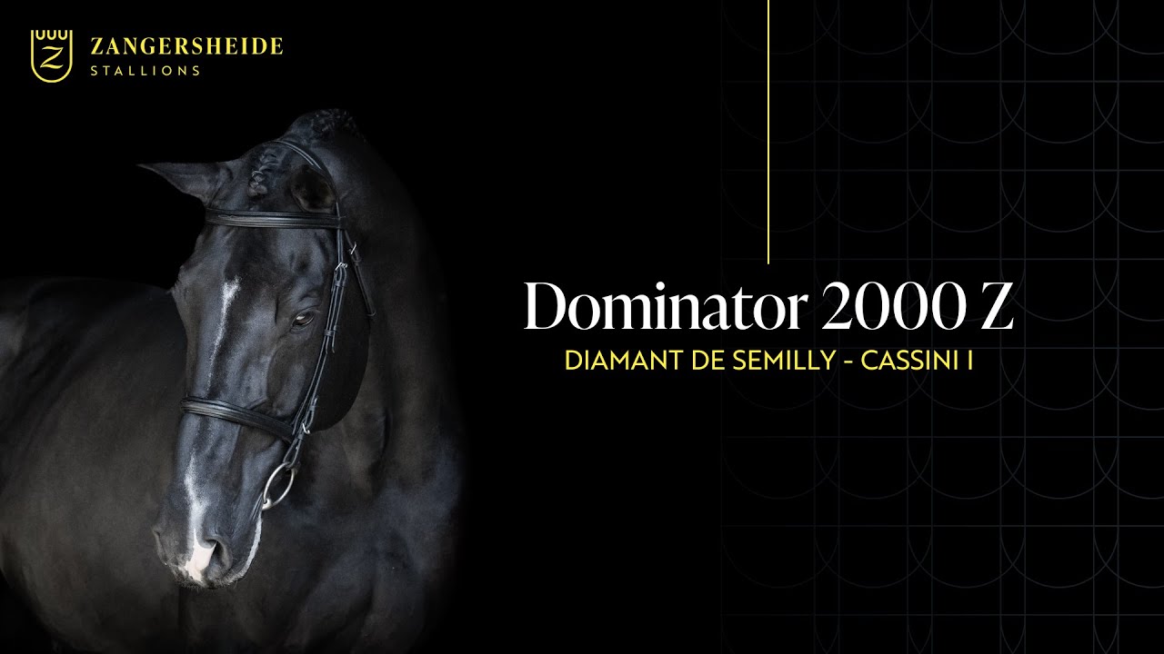 Dominator 2000 Z - Hengstenpresentatie 2025 NL