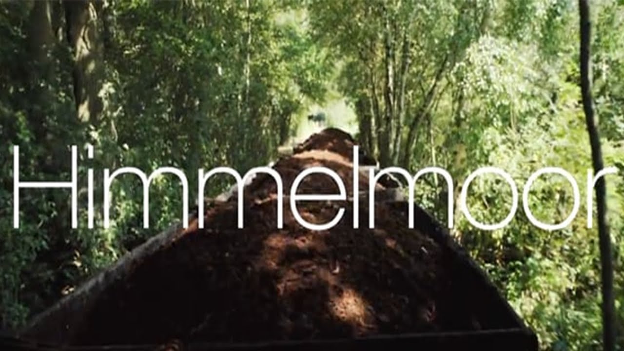 Himmelmoor