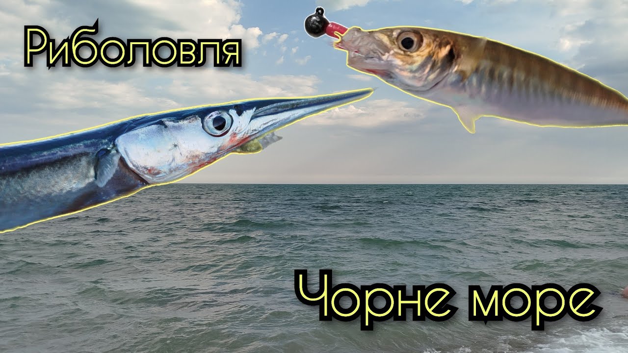Ловимо саргана та ставріду на попловок та ультралайт.