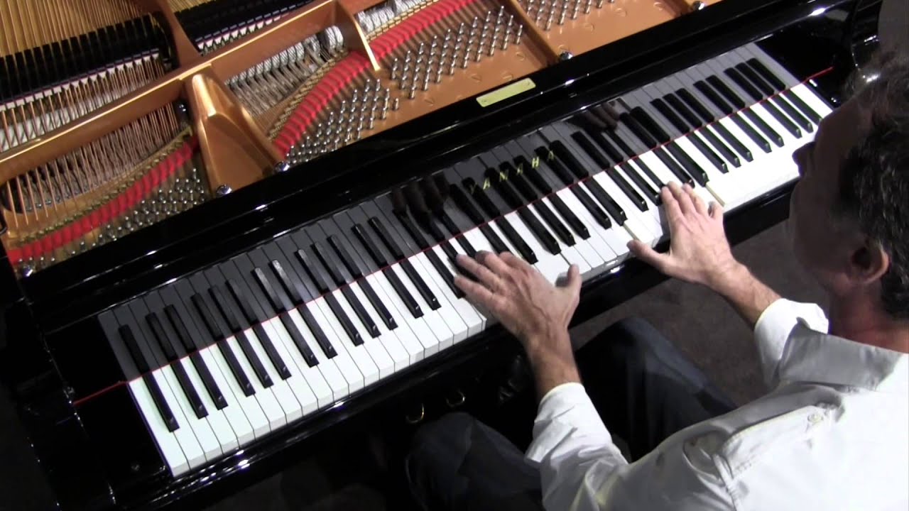 TUXEDO JUNCTION - Dan Delaney Jazz Trio
