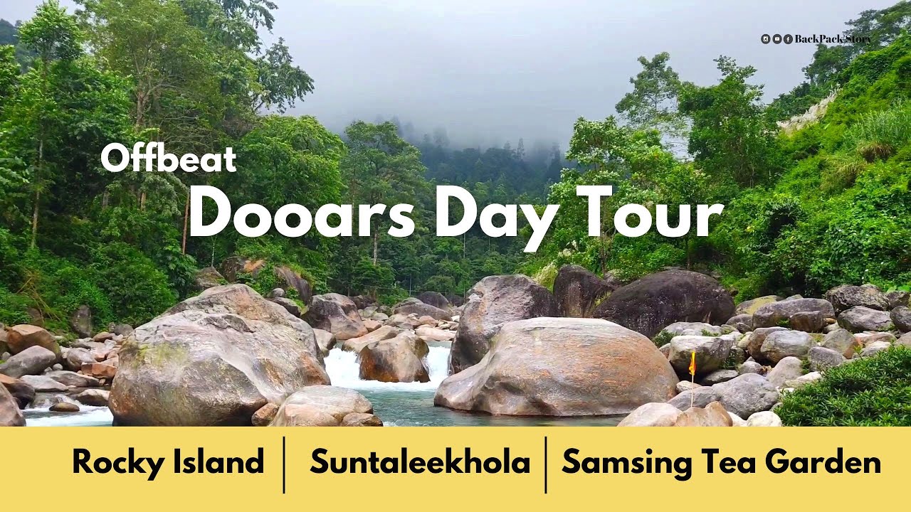 Dooars Day Tour | Rocky Island | Samsing Tea Garden | Suntaleekhola |  Offbeat Dooars