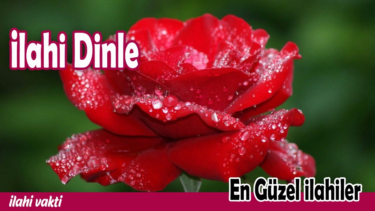 İlahi Dinle 💖 Karışık Harika İlahiler 💖 En Güzel Seçme İlahiler 💖 İlahi Vakti