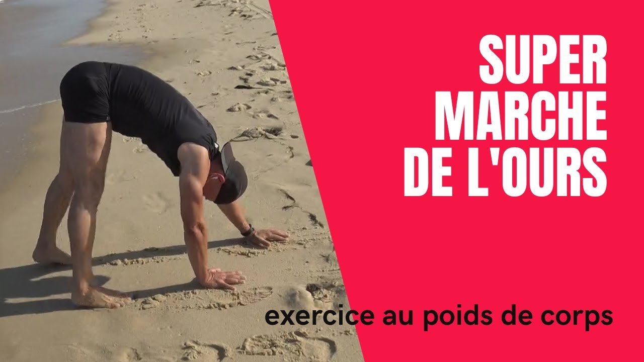 Marche de l'ours : gainage dynamique de la chaîne musculaire antérieure et mobilité sans matériel