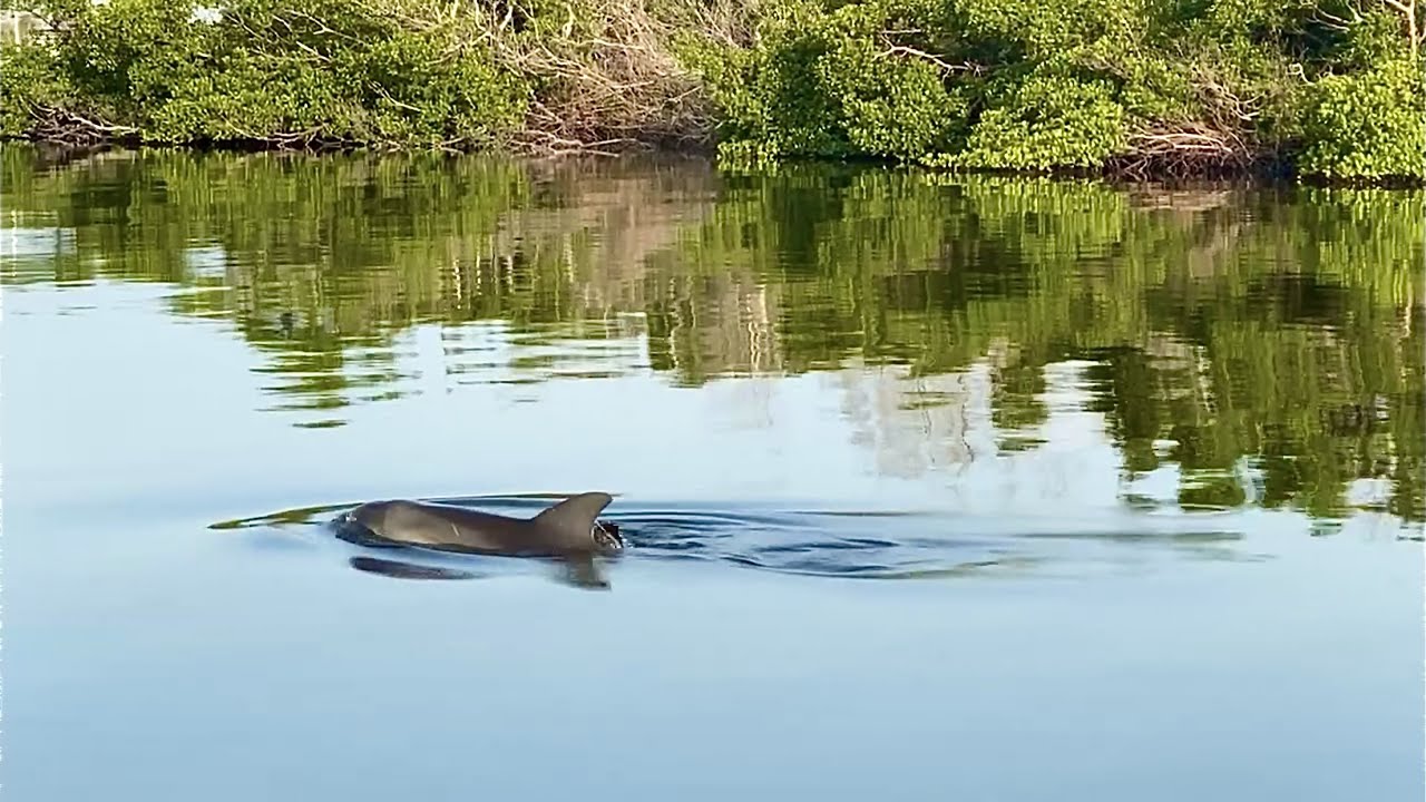Cruising Around Goodland, FL with Captain Dave from Naples Bay Charters